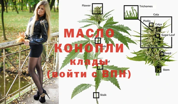 спиды Армянск
