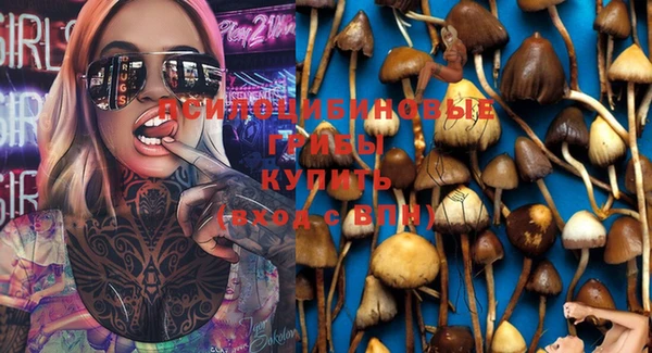 спиды Богданович